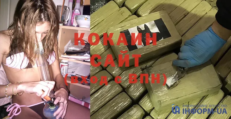 Кокаин Fish Scale  мега зеркало  Поворино 